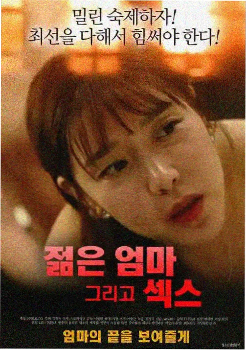 灵狐契约